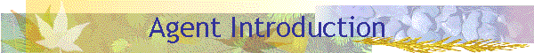 Agent Introduction