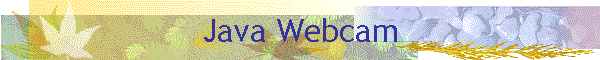 Java Webcam