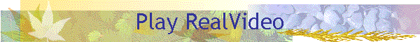 Play RealVideo