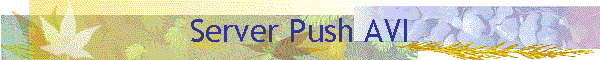 Server Push AVI